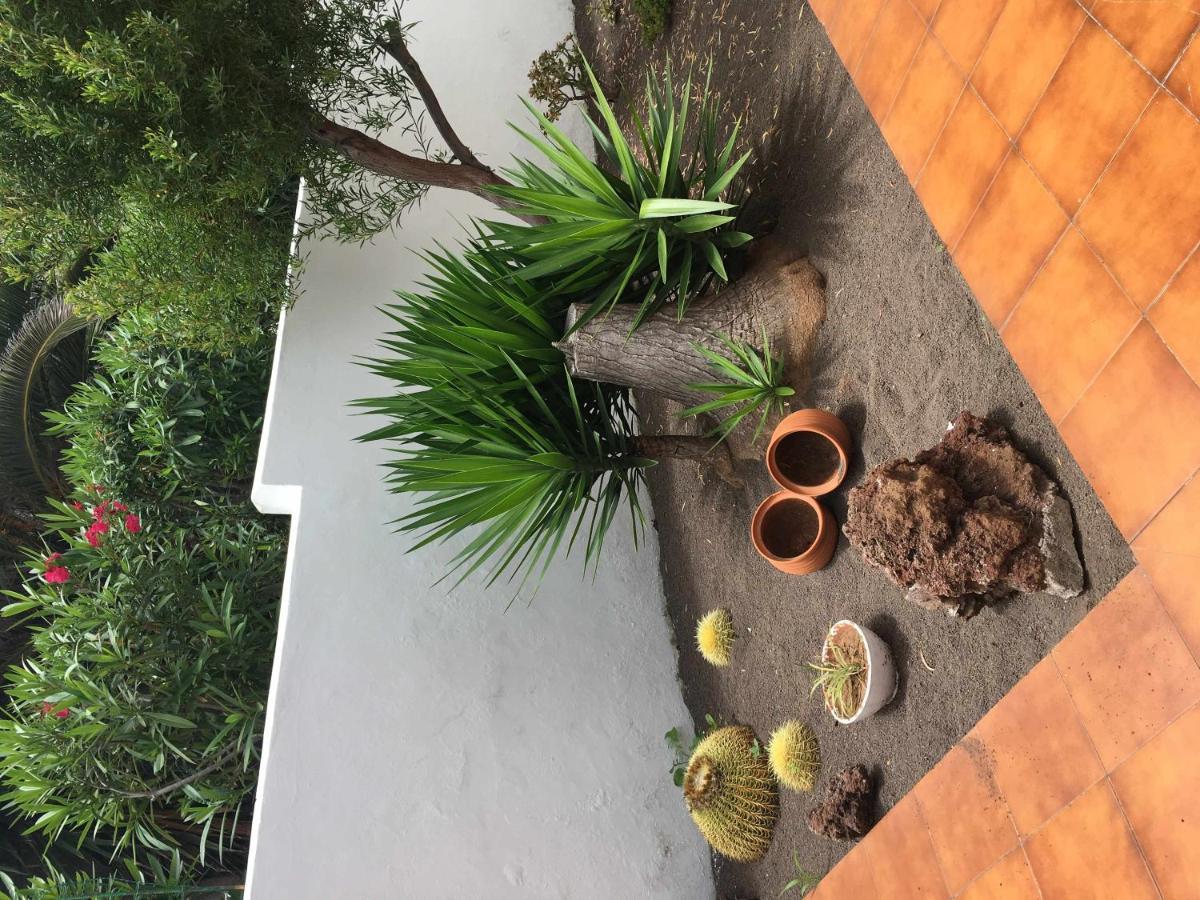 Apartamento Con Jardin Y Piscina B Puerto de la Cruz  Esterno foto